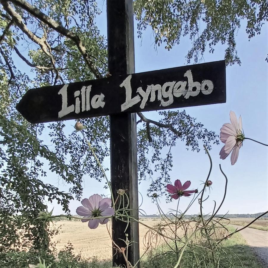 מלון האלמסטד Lilla Lyngabo מראה חיצוני תמונה